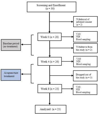 Effect of acupuncture on pain and substance P levels in middle-aged women with chronic neck pain